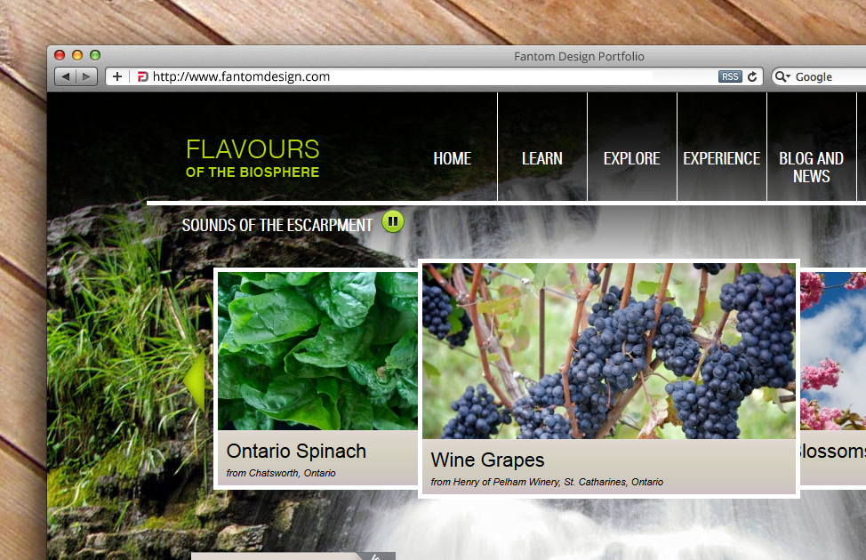 Portfolio - Web - Flavours